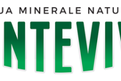 logo-fonteviva-2019-465x170-1